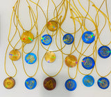 Shungite Orgonite Pod Necklace Holographic