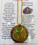 Shungite Orgonite Pod Necklace Holographic