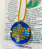 Shungite Orgonite Pod Necklace Holographic