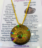 Shungite Orgonite Pod Necklace Holographic