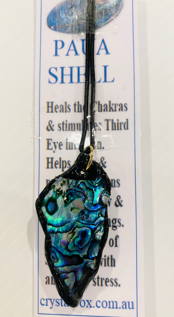 Paua Shell Necklace 21