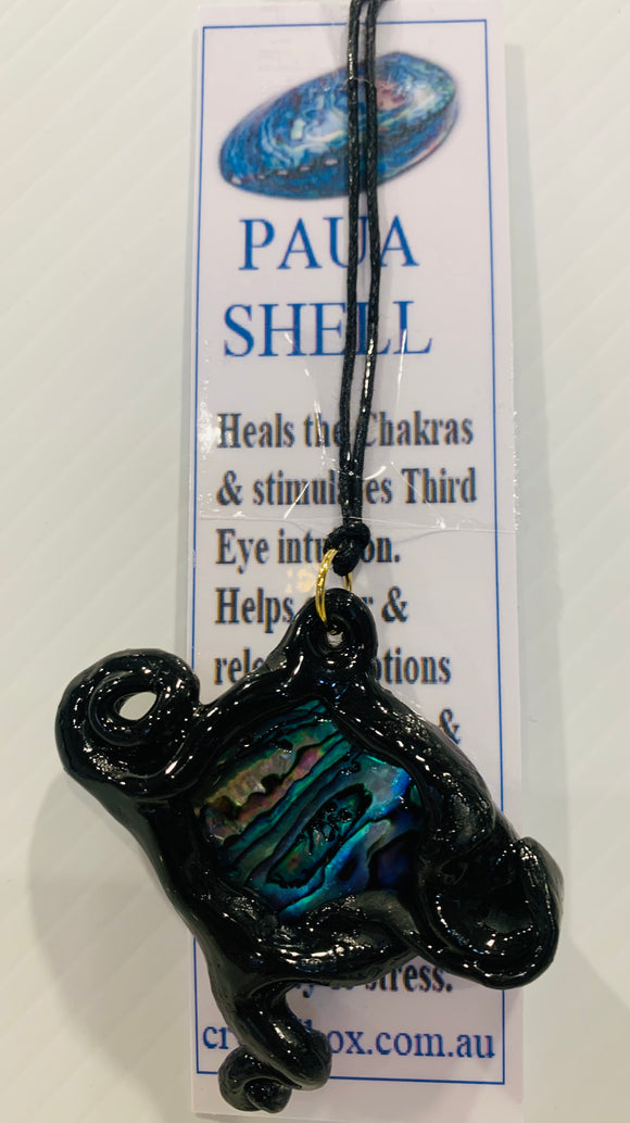 Paua Shell Necklace 2