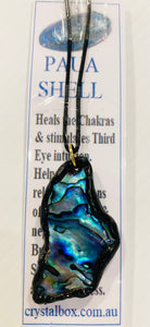 Paua Shell Necklace 11