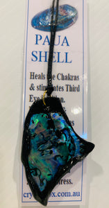 Paua Shell Necklace 6