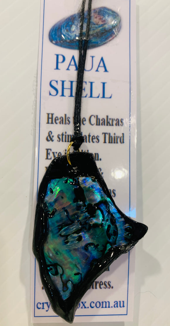 Paua Shell Necklace 6