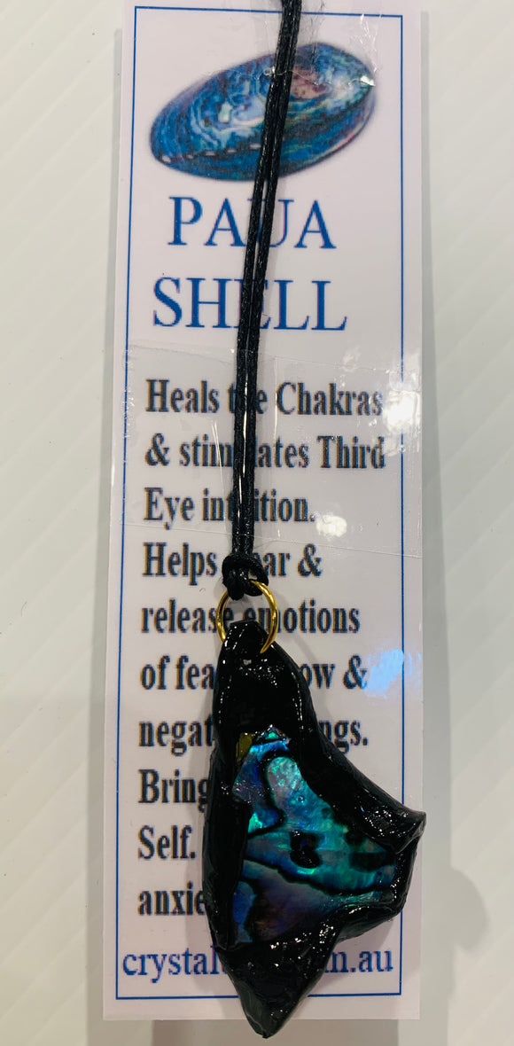 Paua Shell Necklace 3