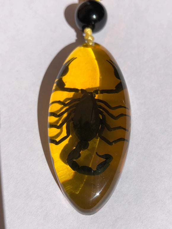 Real Black Scorpion in Amber Look Necklace long