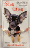 Princess Pooch Jewellery for the fur baby