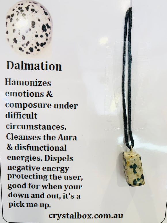 Dalmation Necklace 2