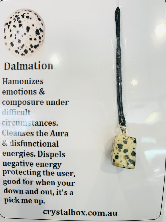 Dalmation Necklace 1