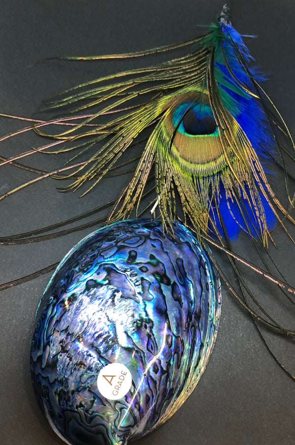 Peacock Spirit Hanging Item with Paua Shell